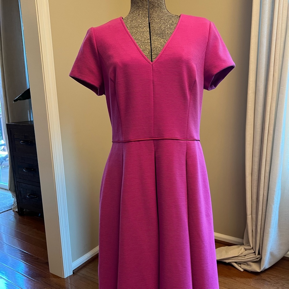 Banana Republic Fuschia Fit and Flare Dress, size 12